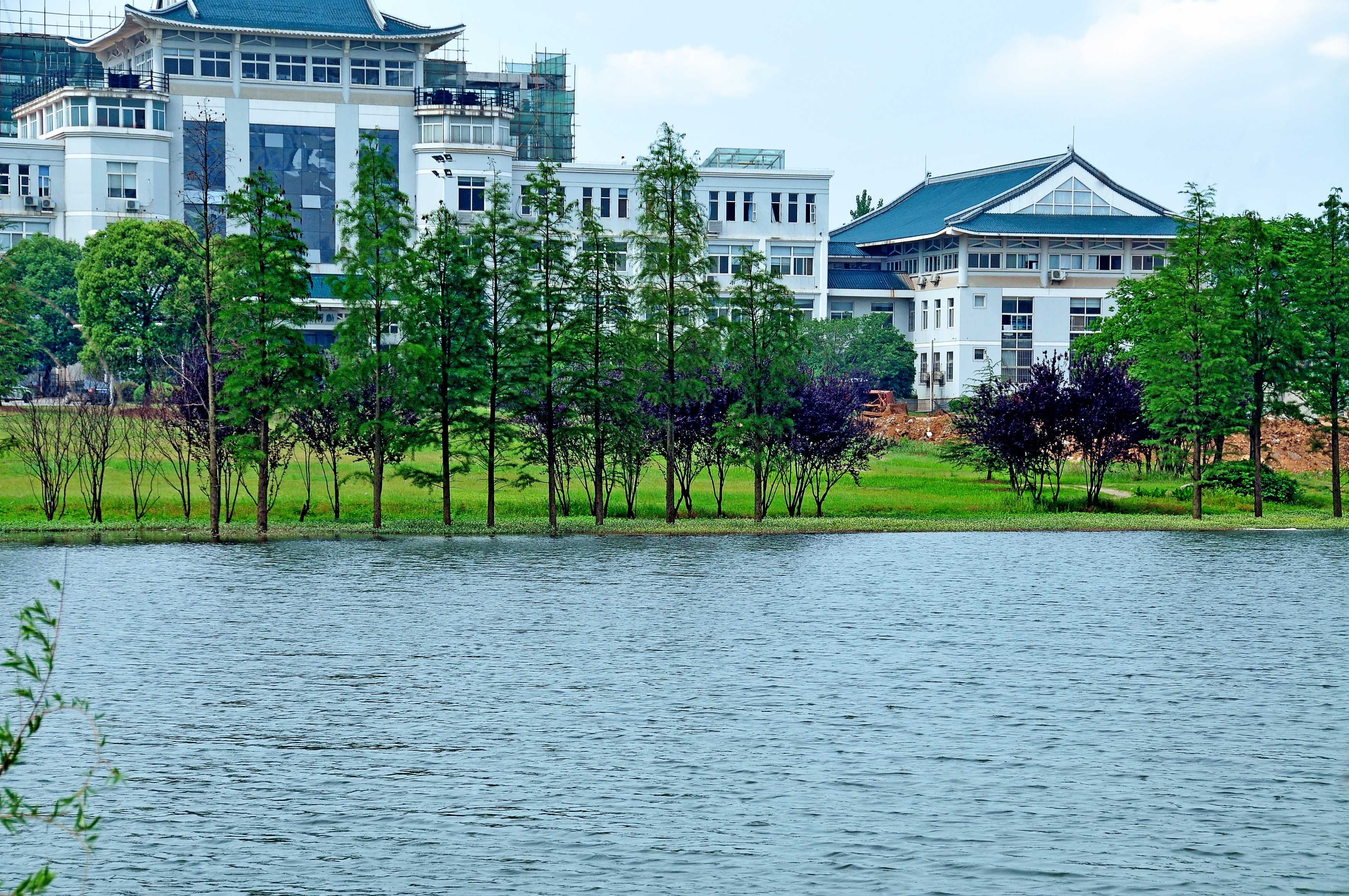 武汉大学科技园湿地公园